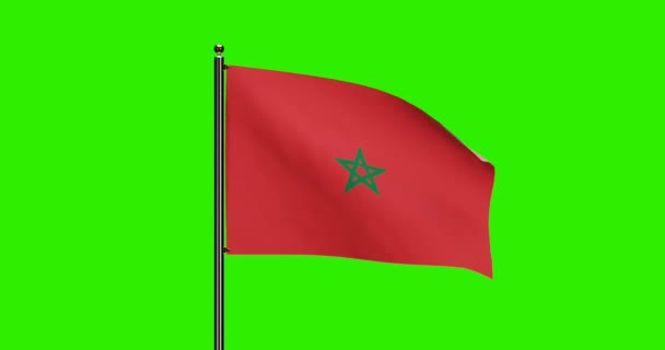 Rendered Marokko National Flag Waving Animation Med Realistisk Vindbevegelse National – stockvideo