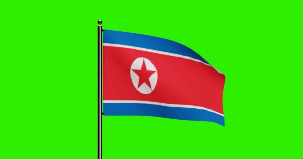 Rendered North Korea National Flag Waving Animation Realistic Wind Motion — Stock Video