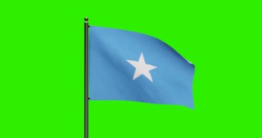 3D Rendered Somali Ulusal Bayrak Dalgalandırma Animasyonu Gerçekçi Rüzgâr Hareketi, Kusursuz döngü animasyonu ile Somali Ulusal Bayrağı, Yeşil Ekran Arkaplanı ile 4k Çözünürlük