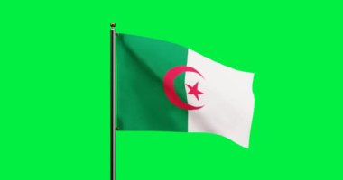3D Cezayir Ulusal Bayrak Dalgalandırma Animasyonu Gerçekçi Rüzgâr Hareketi, Kusursuz döngü animasyonu ile Cezayir Ulusal Bayrağı, Yeşil Ekran Arkaplanı ile 4k Çözünürlüğü
