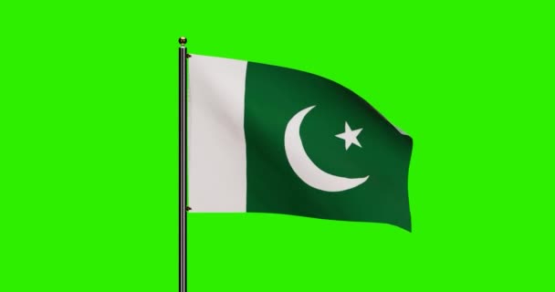 Renderizado Pakistán Bandera Nacional Ondeando Animación Con Movimiento Viento Realista — Vídeo de stock