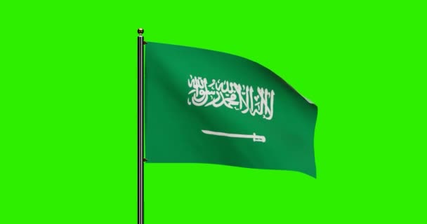 Drapeau National Rendu Arabie Saoudite Ondulant Animation Avec Mouvement Réaliste — Video