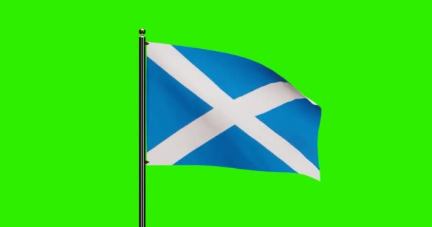Rendered Scotland National Flag Waving Animation Realistic Wind Motion National — Stock videók