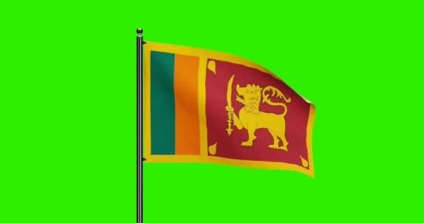 Rendered Sri Lanka National Flag Waving Animation Realistic Wind Motion — Stockvideo