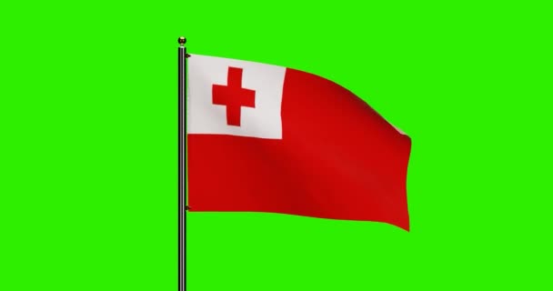 Тривимірна Анімація Національного Прапора Тонга Реалістичним Вітровим Рухом Національний Прапор — стокове відео