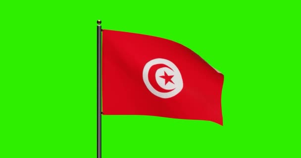 3Dレンダリングチュニジア国旗ウィングアニメーション シームレスループアニメーション付きチュニジア国旗 グリーンスクリーン背景付き4K解像度 — ストック動画