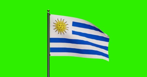 Renderizado Uruguai Bandeira Nacional Acenando Animação Com Movimento Vento Realista — Vídeo de Stock