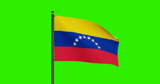 Rendered Venezuela National Flag Waving Animation Realistic Wind Motion National — Stock Video