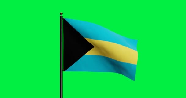 Gerenderde Bahama National Flag Waving Animation Met Realistische Wind Motion — Stockvideo