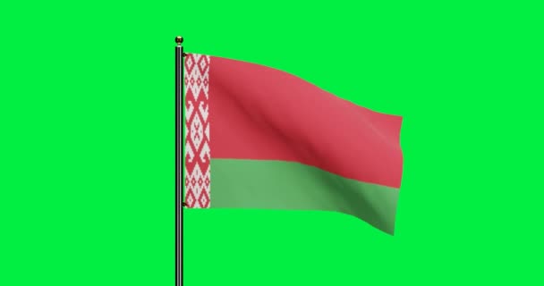 Rendered Belarus National Flag Waving Animation Realistic Wind Motion National — Stock Video