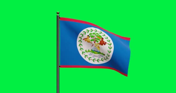 Rendered Belize National Flag Waving Animation Met Realistische Wind Motion — Stockvideo