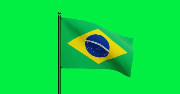 Renderizado Brasil Bandeira Nacional Acenando Animação Com Movimento Eólico Realista — Vídeo de Stock