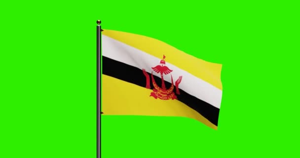 Boyutlu Brunei Ulusal Bayrak Dalgalandırma Animasyonu Gerçekçi Rüzgâr Hareketi Kusursuz — Stok video