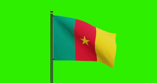 Рендеринг Камерун Национальный Флаг Размахивая Анимацией Реалистичным Движением Ветра Национальный — стоковое видео