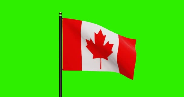3Dレンダリングカナダナショナルフラッグウィービングアニメーション シームレスループアニメーション付きカナダ国旗 グリーンスクリーンバックグラウンド付き4K解像度 — ストック動画