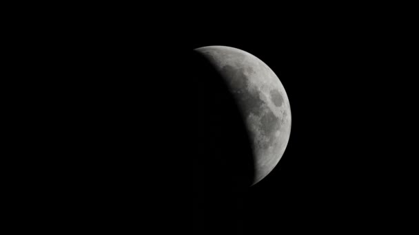 Lua Renderizada Com Luz Solar Rotação Torno Visão Lua Realista — Vídeo de Stock