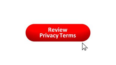 3D Renk Değiştiren Efekt ve Doğrulama Tıklayan Bilgisayar Fare Tıklaması ile İnceleme Gizlilik Terimleri 'nin Canlandırılması