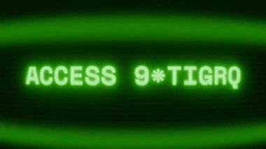 Old green CRT screen showing text ACCESS DENIED! appearing in random glitch and coding style