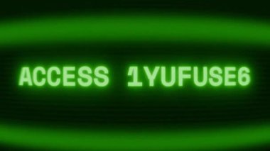 Old green CRT screen showing text ACCESS GRANTED! appearing in random glitch and coding style