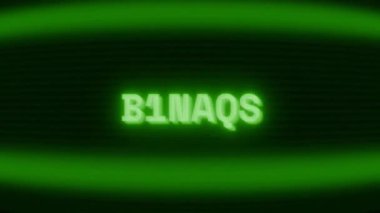Old green CRT screen showing text B1NARY appearing in random glitch and coding style