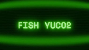 Old green CRT screen showing text FISH TACOS appearing in random glitch and coding style