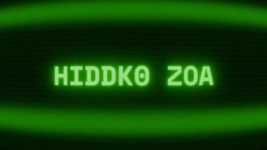 Old green CRT screen showing text HIDDEN NET appearing in random glitch and coding style