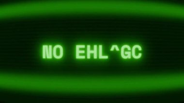 Old green CRT screen showing text NO ENTRY! appearing in random glitch and coding style