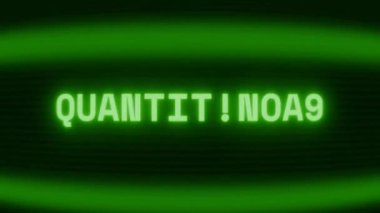 Old green CRT screen showing text QUANTITATIVE appearing in random glitch and coding style