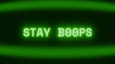Old green CRT screen showing text STAY DOWN! appearing in random glitch and coding style