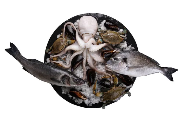 Zwarte Plaat Van Rauwe Zeevruchten Ijs Zeebaars Inktvis Blauwe Krabben — Stockfoto