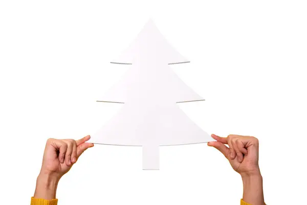 white christmas tree in hands isolated on white background, happy new year concept