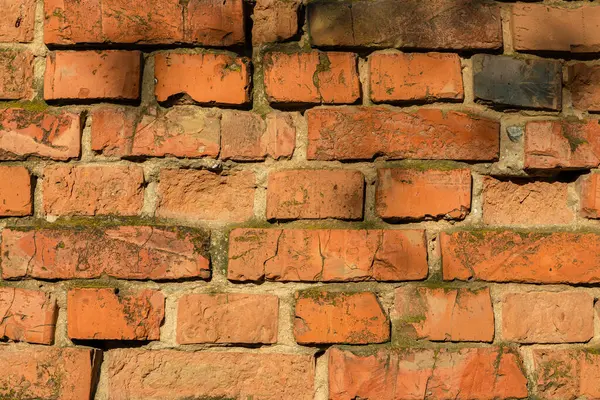 Çatlak yüzeyli eski kırmızı tuğla duvar, düzensiz havan topları, ve yosun parçaları, klasik, kırsal veya kentsel çürüme temaları için ideal.