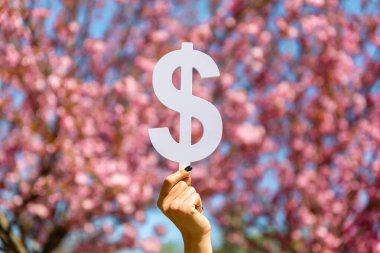 Mavi gökyüzünün altında çiçek açan pembe kiraz çiçeklerinin önünde beyaz bir dolar işareti tutan el..