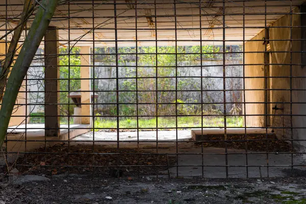 Paslı metal bir ızgaranın içinden aşırı gelişmiş bitki örtüsü ve yerdeki döküntülerle çürüyen açık bir yapıya bakın..