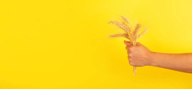 Açık sarı bir zemin üzerinde buğday saplarını sıkıca kavrayan bir elin yakın çekimi tarımı, gücü ve hasadı temsil eder..