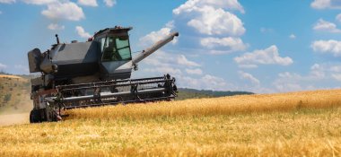 Tarım, güneşli bir günde altın buğdayı mavi gökyüzü ve dağınık bulutları kırsal bir arazide toplayarak topluyor..