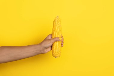 Sarı ojeli kadın bir mısır kabuğunu canlı sarı bir arka planda tutuyor..