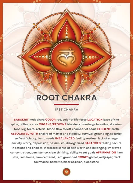 Root Chakra Sembolü Muladhara Banner Poster Kartlar Tanımlı Infographic Özellikler — Stok fotoğraf
