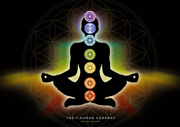 Chakra Symbols Flower Life Human Energy Body Aura Yoga Lotus — Stock Photo, Image