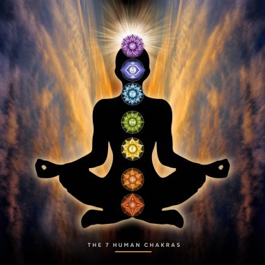 Human silhouette in yoga, lotus pose with 7 Chakras and Flower of Life. Human energy body, Aura. Supportive poster for meditation and chakra energy healing.