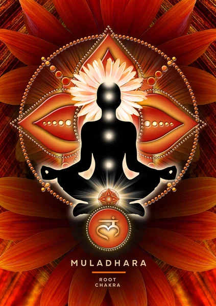 ヨガのハスのポーズでのルートチャクラ瞑想 ムラダーラのチャクラのシンボルと開花ガサニアの庭の花の前に 瞑想とチャクラエネルギー治癒のための平和なポスター — ストック写真
