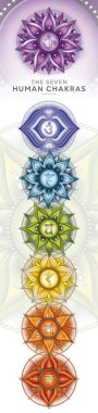 7 çakra sembolü, meditasyon için pankart, enerji iyileştirme. Crown (Sahasrara), Third Eye (Ajna), Throat (Vishuddha), Heart (Anahata), Solar Plexus (Manipura), Sacral (Svadhisthana), Root (Muladhara))