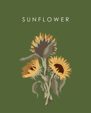 Poster tasarımı: yeşil arkaplanda ayçiçeği. Eski tasarım.