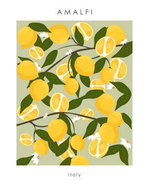  Vektör çizimi. Amalfi, İtalya. Poster. Poster, pankart ve kartpostallar için tasarım. Tişört, kapak, duvar kağıdı. Limon, limon, narenciye.