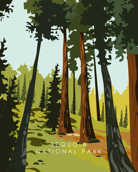 Ilustração Vetorial Parque Nacional Sequoia Eua Floresta Sequoia Design Para — Vetor de Stock