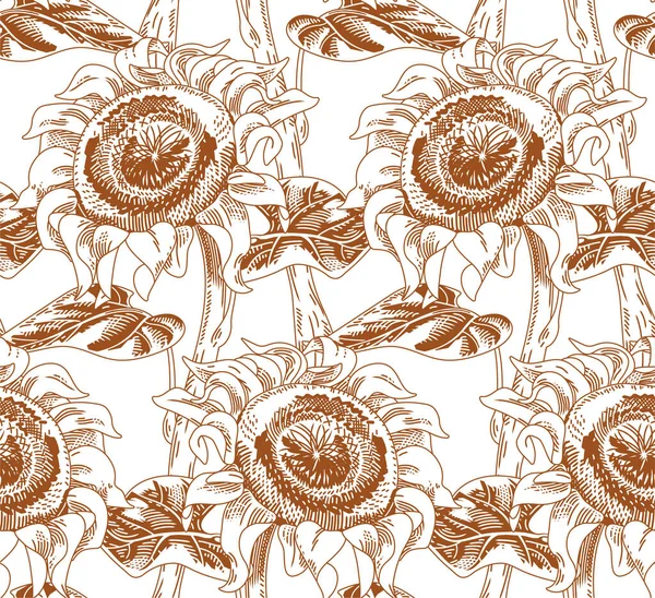 Sunflower flowers with stem and leaves. Engraved vintage style. Brown ink line on a white background. Vector seamless pattern