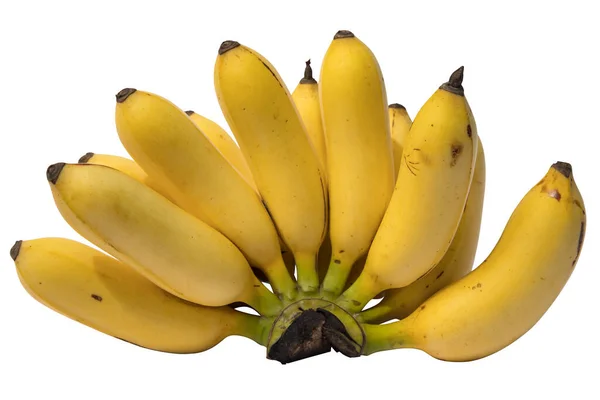 Bunch Ripe Yellow Bananas Isolated Background — Stock Photo, Image