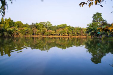 Doğal manzara. Göl suyundaki ağaçların yansıması. Mavi gökyüzüne karşı.