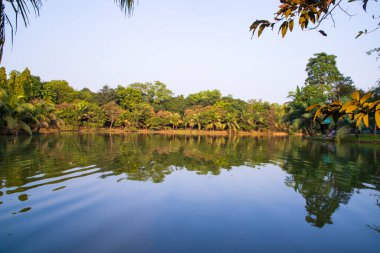 Doğal manzara. Göl suyundaki ağaçların yansıması. Mavi gökyüzüne karşı.
