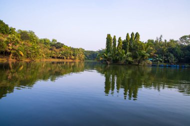 Doğal manzara. Göl suyundaki ağaçların yansıması. Mavi gökyüzüne karşı.